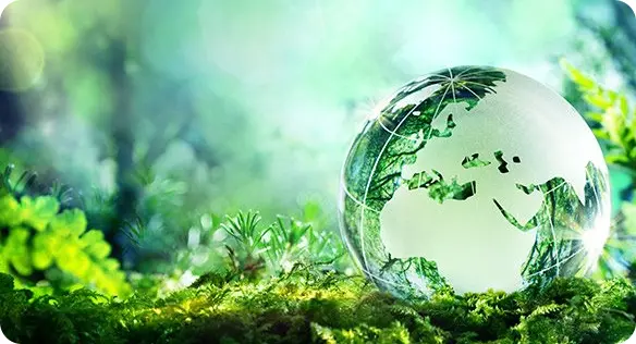 sustainability-518092-1722407735
